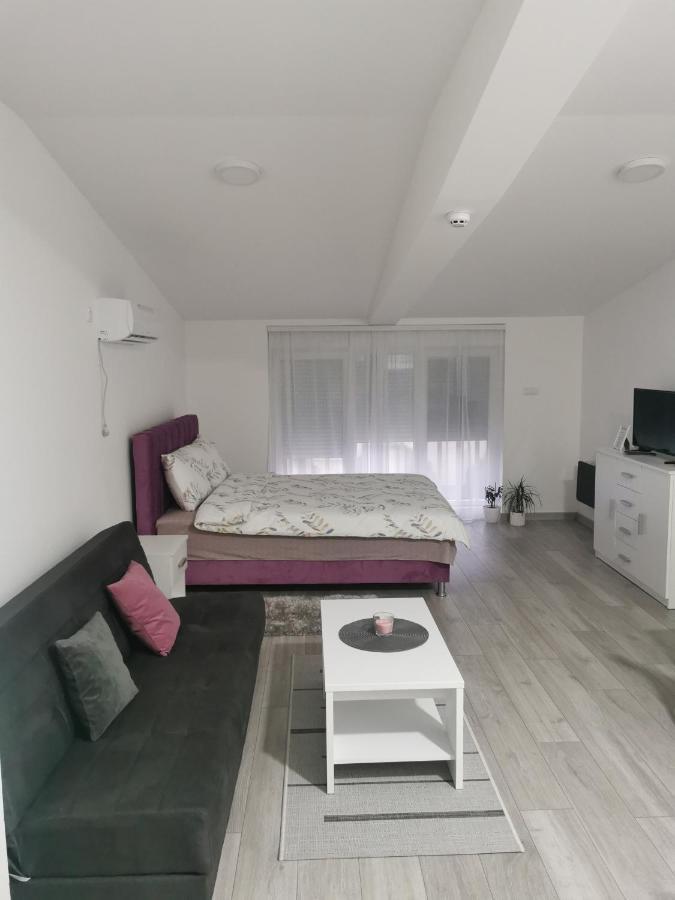 Studio Apartmani Banja Koviljača Esterno foto