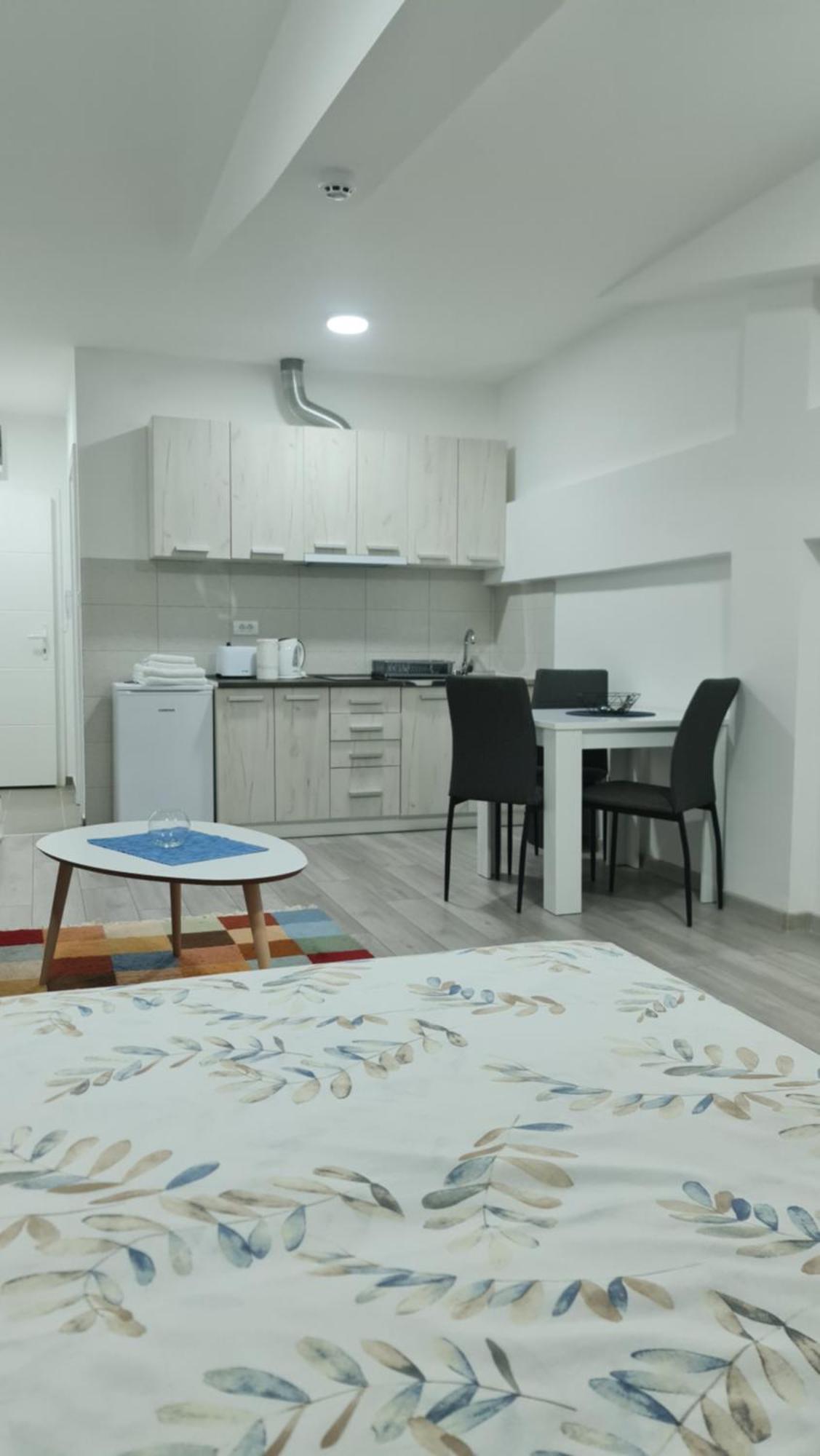 Studio Apartmani Banja Koviljača Camera foto